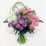 Spring Arrangements